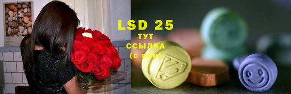 PSILOCYBIN Краснотурьинск