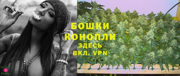 сатива Покров