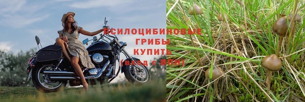 ALPHA PVP Корсаков