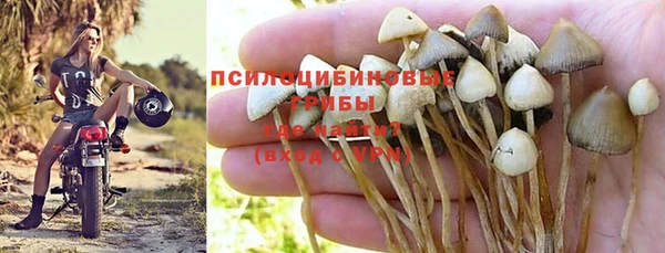 шишки Мегион