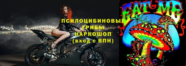 ALPHA PVP Корсаков